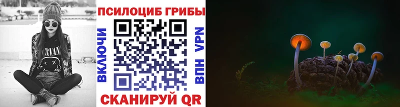 Галлюциногенные грибы мухоморы  kraken как войти  Верхняя Тура 